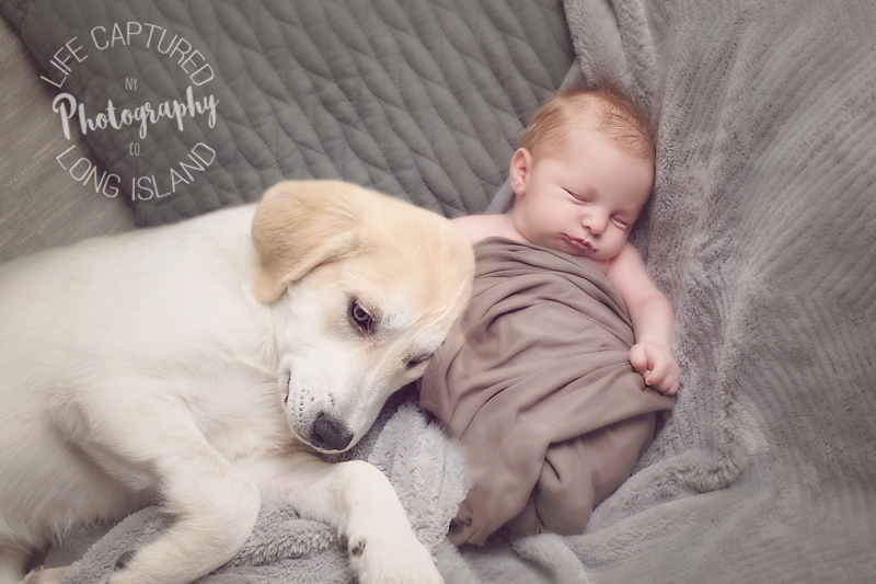 A Baby Boy & his Best Friend | Nassau County NY Newborn Photographer