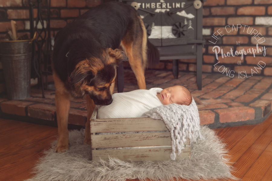 Bestest Friends | Bohemia Newborn and Family Photography 
